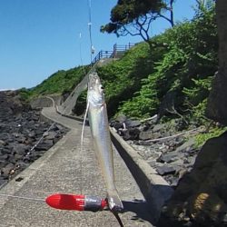 ピンキスしかいないの