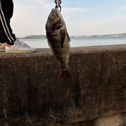 投稿するか迷いました