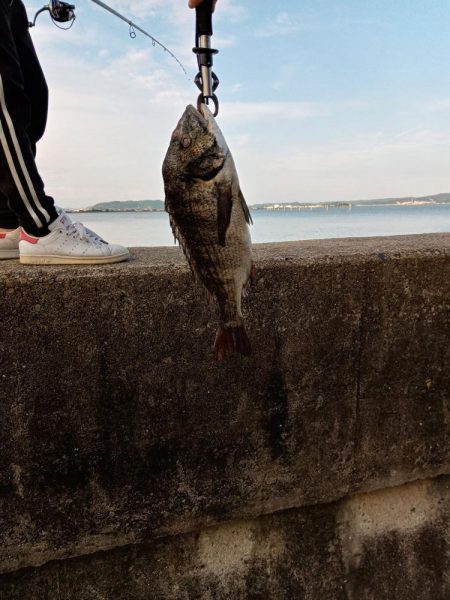 投稿するか迷いました