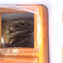 ささめ針さんの大会に参加してきました