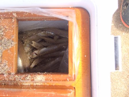 ささめ針さんの大会に参加してきました