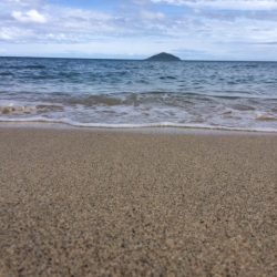 真夏の天気でキスも夏の雰囲気となってました