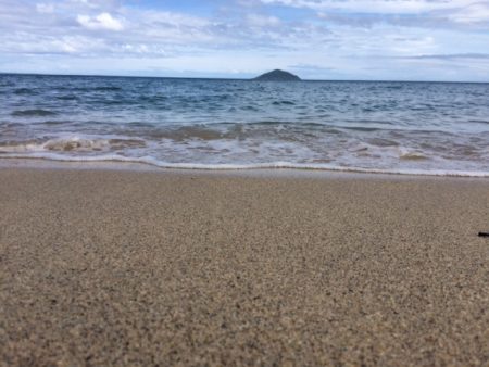 真夏の天気でキスも夏の雰囲気となってました