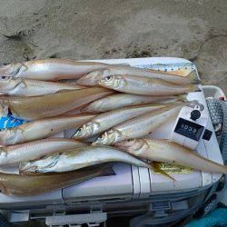 サーフはまずまず