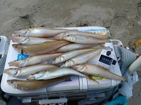 サーフはまずまず