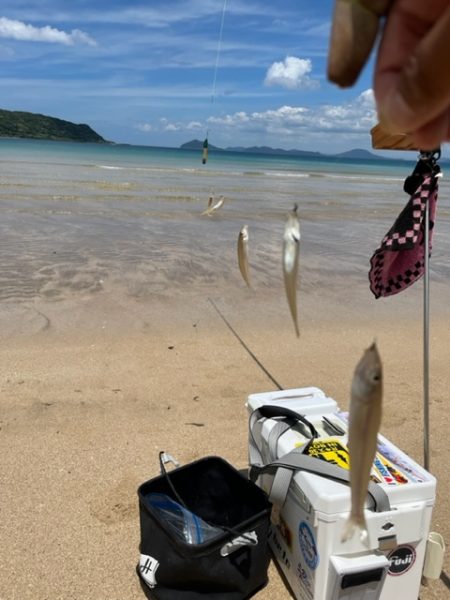 唐津方面のキスを調査してきました