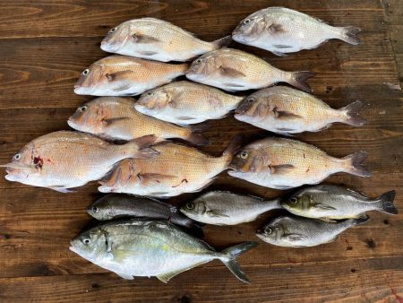 海上釣堀でウキの誘い