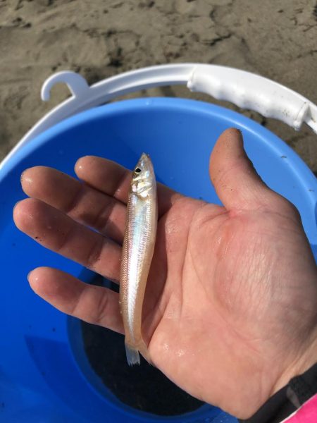 ちょい投げキス！