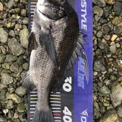 イチノ兄弟、釣果!