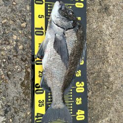 フカセ釣り4回目