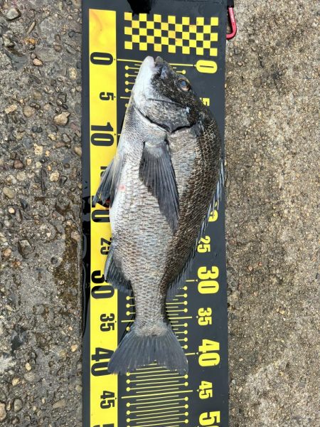 フカセ釣り4回目