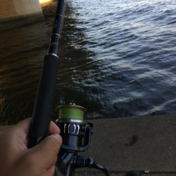 vjは何にでも効く