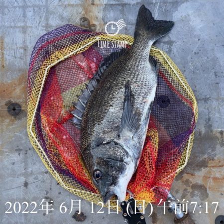 岸和田ヘチ釣り