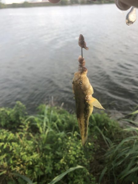 サイズダウン/数アップ