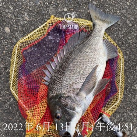 大阪港ヘチ釣り