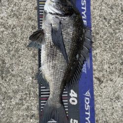 イチノ兄弟、釣果!