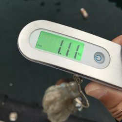 タコフィネスで5kg