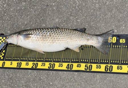 3回目のフカセ釣りでやっと釣れました。