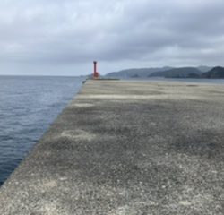 沖一文字でカゴ釣り