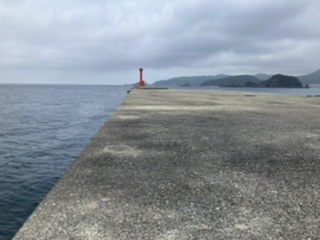 沖一文字でカゴ釣り