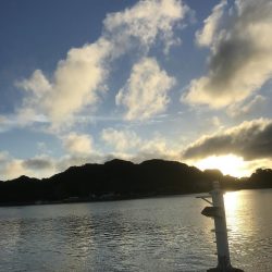 久々ガッシー！