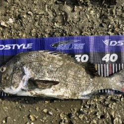 イチノ兄弟、釣果!