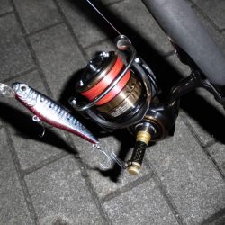 日没後に連続ヒットあり