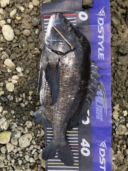 イチノ兄弟、釣果！