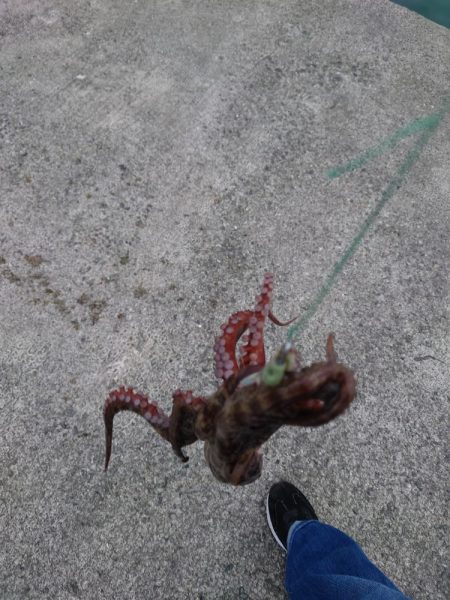 オクトパッシング