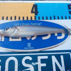 今シーズン最高の暑さでした