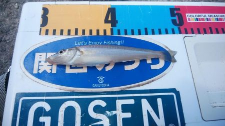 今シーズン最高の暑さでした