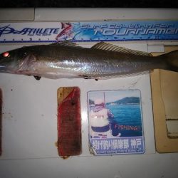 シーズン初の津居山釣行