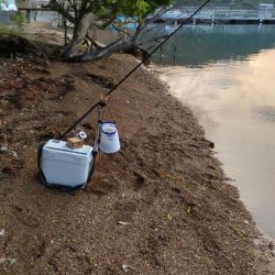 青戸入江でキス釣り