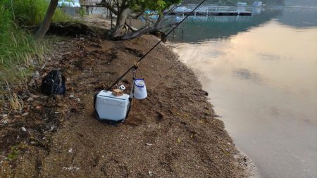 青戸入江でキス釣り