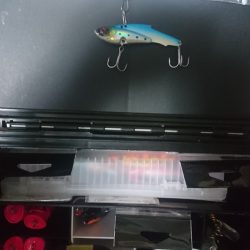 戸惑いのソロランディング