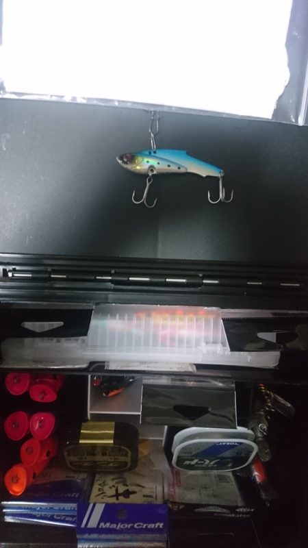 戸惑いのソロランディング