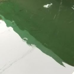 有馬ます池でその日最大サイズゲット!