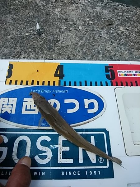 朝一の活性が良かったようです