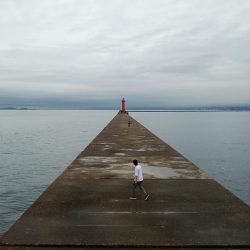 良型キスが釣れ始めました