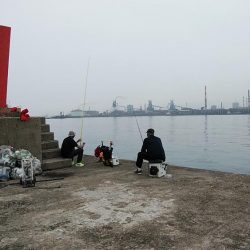 活性が一気に下がりました