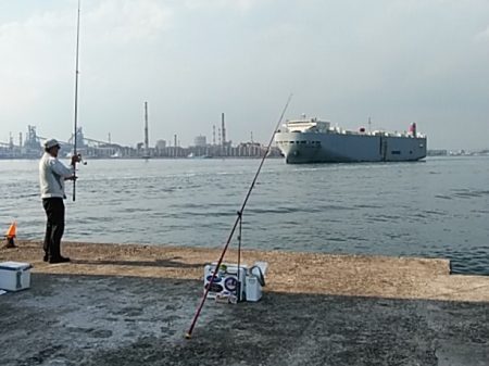 午後から播磨新島のキス調査