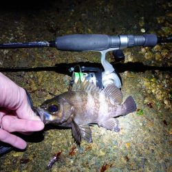 サクッとメバリング