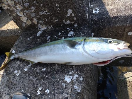 今年初のショアジギング！
