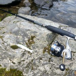 初めてのアユイング☆