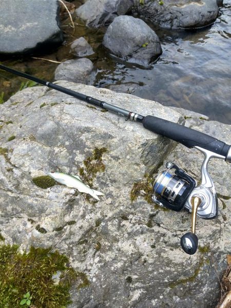 初めてのアユイング☆