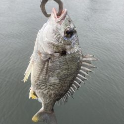 丸々二ヶ月振り