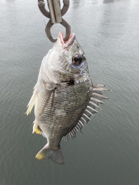 丸々二ヶ月振り