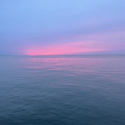 デフレエギでも春イカ