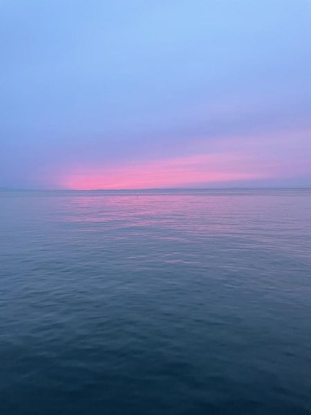 デフレエギでも春イカ