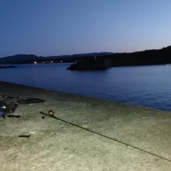 鰻釣れた!!　ホントは引っ掛かった(苦笑)